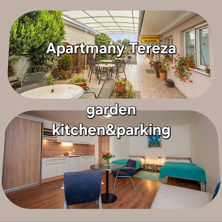 Apartmany Tereza & Free Parking Μπρατισλάβα Εξωτερικό φωτογραφία