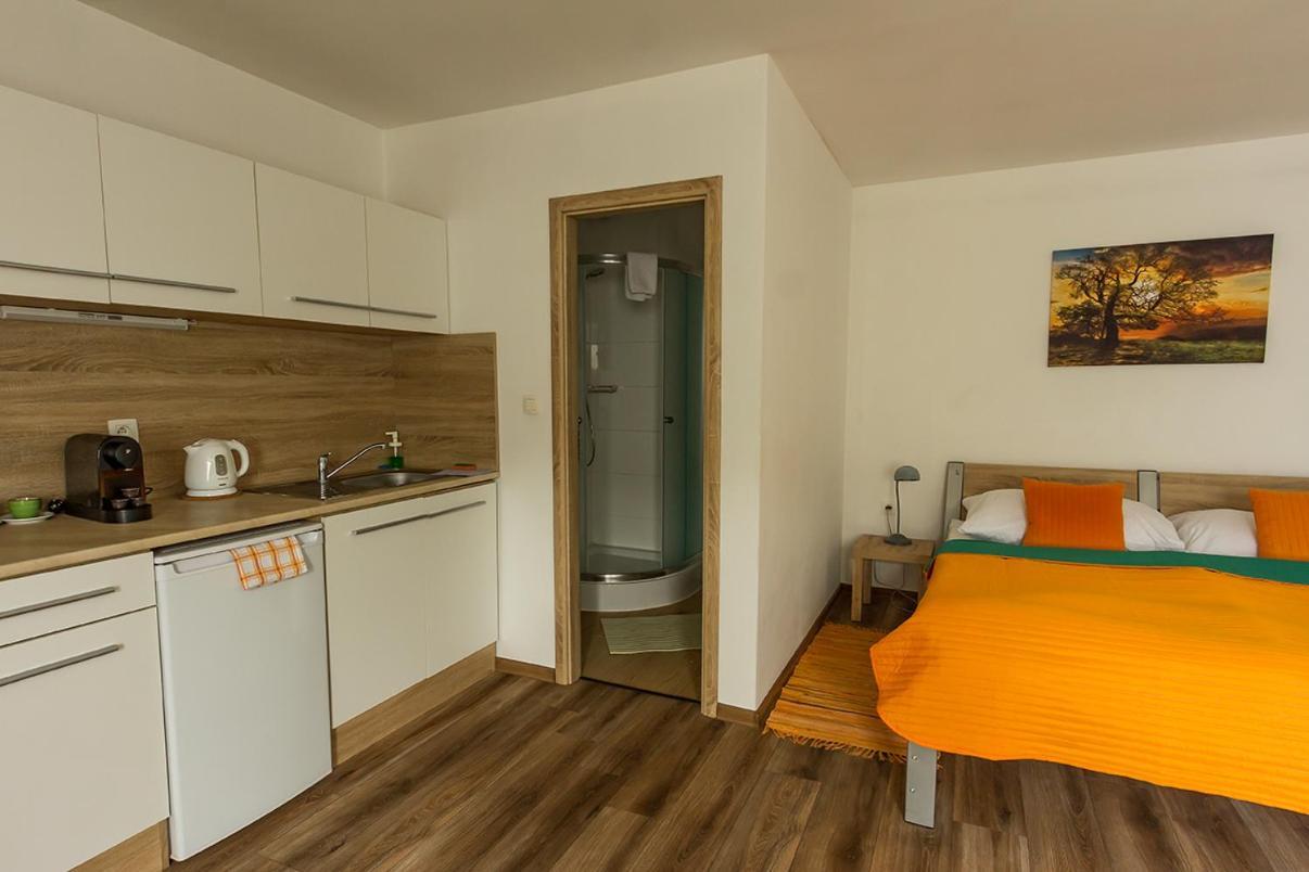 Apartmany Tereza & Free Parking Μπρατισλάβα Εξωτερικό φωτογραφία